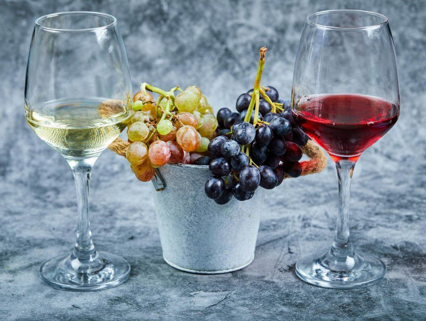 Wine and Grapes